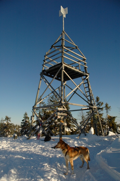 Tårnet på Hovlandsfjell